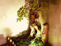 -游园觅食记夜市·小龙虾大排档