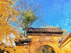-西园戒幢律寺