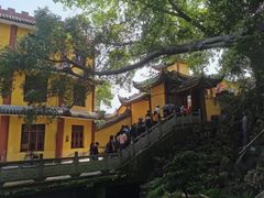 -丰都鬼城名山景区