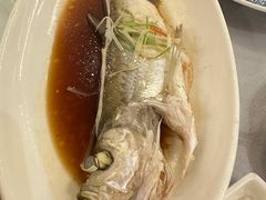 -全聚德(上海首店浦东店)