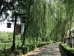 -西安汉城湖景区