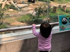 -石排湾郊野公园