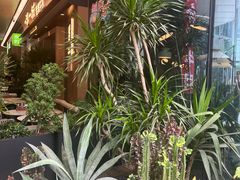 -一沙一城·岩烤牛扒(深圳首店)