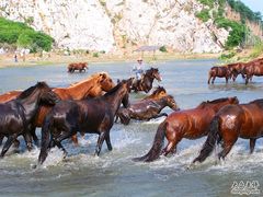 -苏州太湖牛仔风情度假村