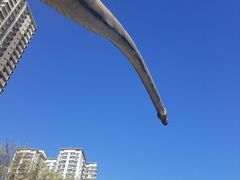 -陕西自然博物馆