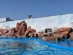 -上海海昌海洋公园