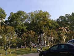 -长沙市青少年宫