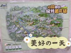 -银峰农庄·特色烧鸡·鲜无花果浸鸡