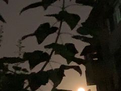 -贵州大厦贵州厅(樱花园西街店)