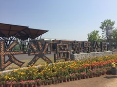 -上海长兴岛郊野公园