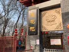 -莲花池公园