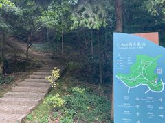 -上海佘山国家森林公园天马山园