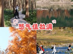 -小芝红树林