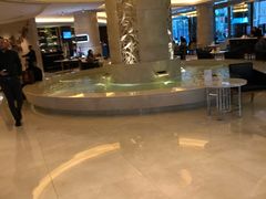 -上海雅居乐万豪侯爵酒店