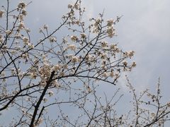 -西北湖绿化广场