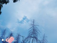 -中海·庐山西海君澜度假酒店·味屿全日制餐厅