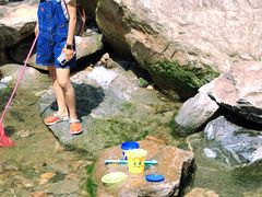 -少华山国家森林公园