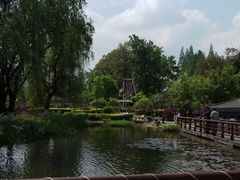 -成飞公园