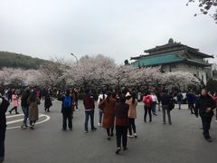 -外沙疍家棚酒楼