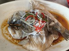清蒸鲈鱼-状元楼(金溪路店)