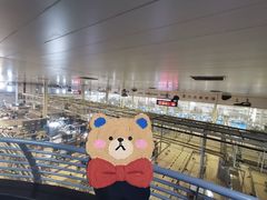 -蒙牛工业旅游景区