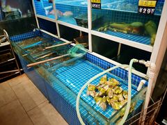 -金龙·打边炉(南京西路店)