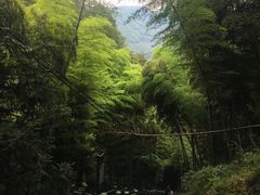 -藏龙百瀑风景区
