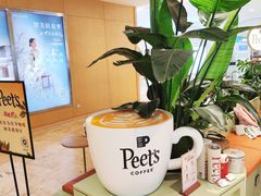 -Peet's Coffee皮爷咖啡(德基店)