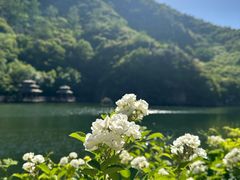 -九如山休闲旅游度假区