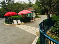 -青岛中山公园-索道售票处