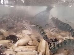 -步步高福朋喜来登·宜客乐西餐厅