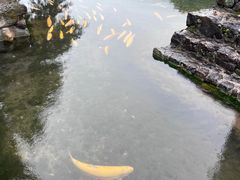 -丽江玉水寨