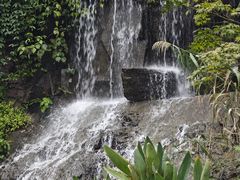 -湖南师范大学-木兰路食堂