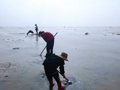 -北海金海湾红树林生态旅游区