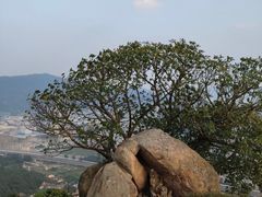 -青芝山风景名胜区