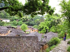 -杨家堂村