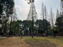 -宝岩生态观光园