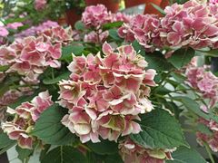 -共青国家森林公园-售票处