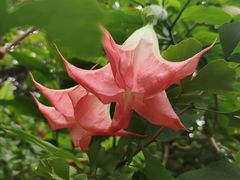 -昆明市金殿名胜区