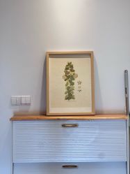 -MLYG美来瑜伽·普拉提