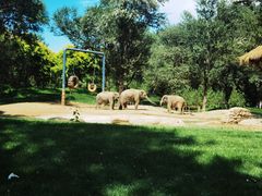 -北京野生动物园