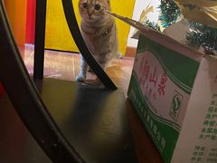 -H立方实景剧情密室(天河旗舰店)