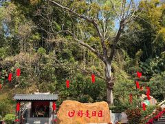 -国恩寺