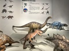 -自贡恐龙博物馆