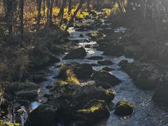 -汤旺河林海奇石景区