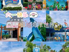 -海合安武汉极地海洋公园