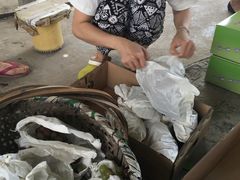 -马陆小张葡萄园农家乐