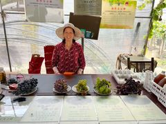 -马陆小张葡萄园农家乐