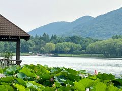 -长广溪湿地公园