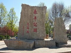 -泰丰公园